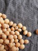 Le soja, nouvelle mode alimentaire ?